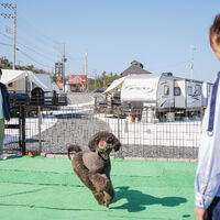 20240410GP0208.jpg のコピー